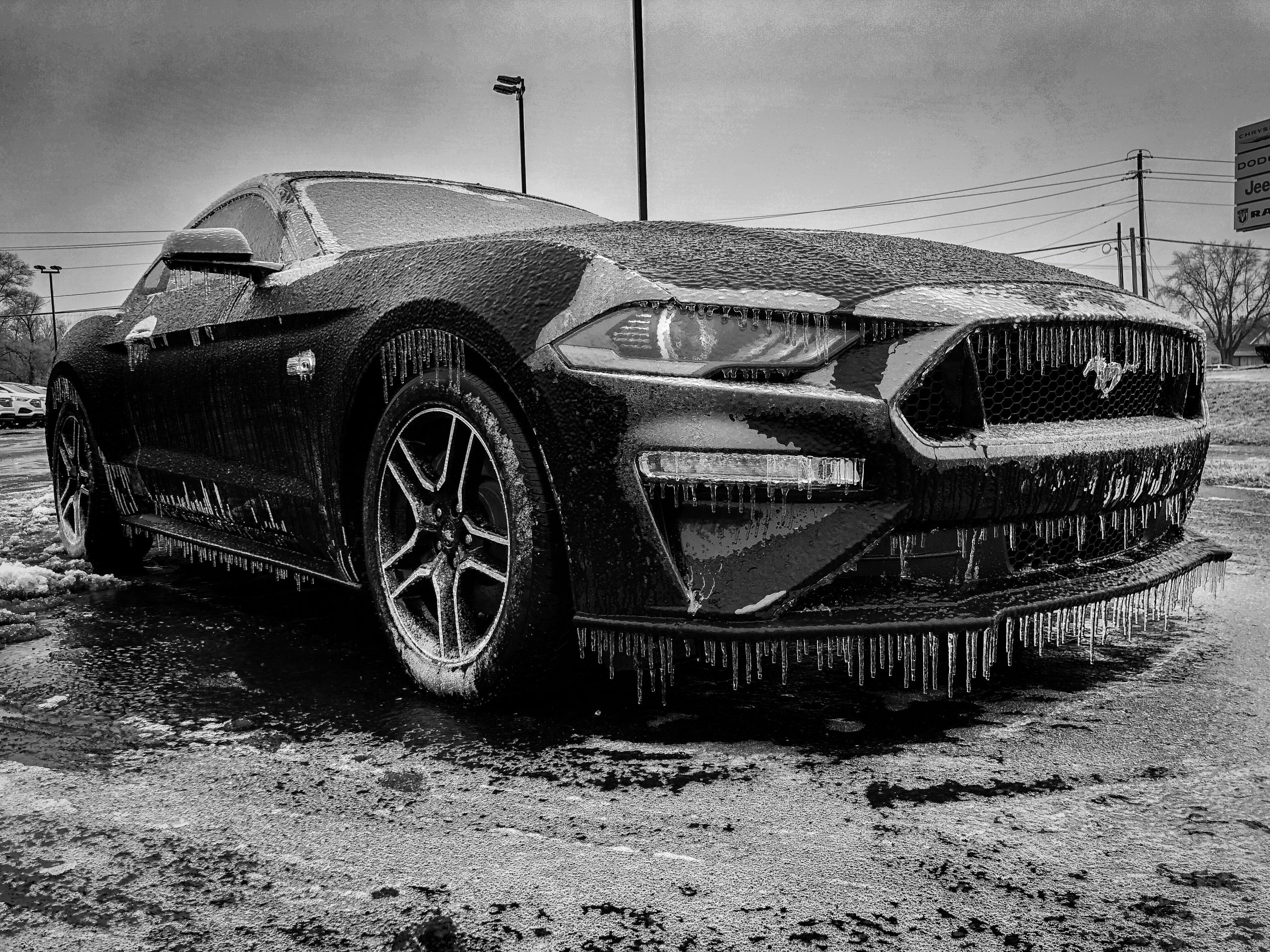 Ford Mustang in Winter