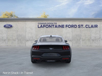 2026 Ford Mustang EcoBoost IN-TRANSIT