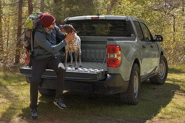 Ford Truck Inventory