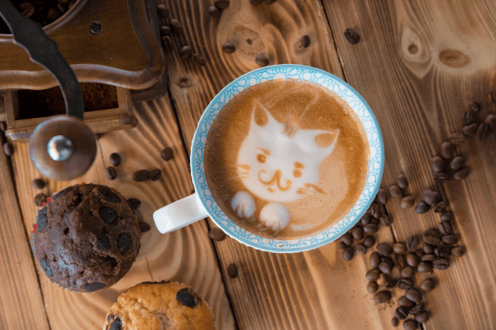 Used Car Dealer near St. Clair MI